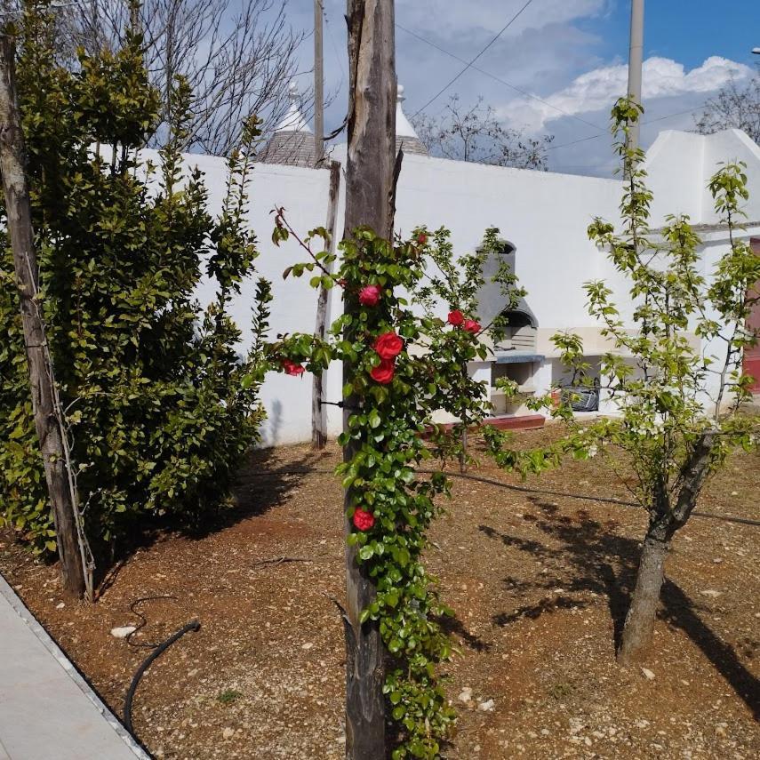 Angolo Di Puglia Locorotondo Buitenkant foto
